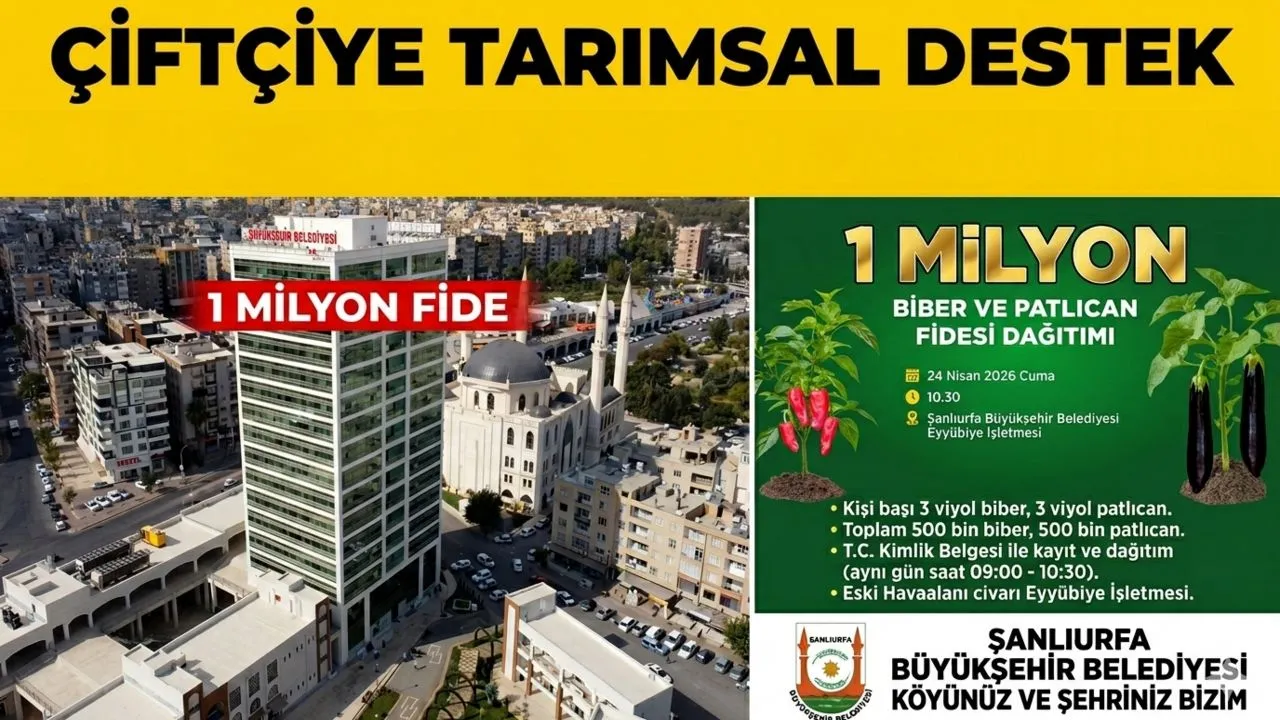 1 Milyon Sebze Fidesi Dağıtılacak